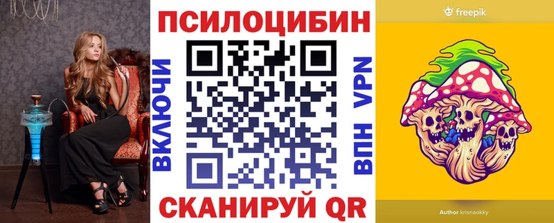 МЕГА как войти  закладки  это телеграм  Галлюциногенные грибы мицелий  Сусуман 