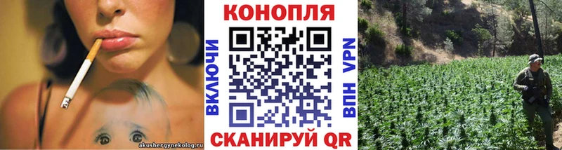 купить наркоту  площадка официальный сайт  Бошки Шишки марихуана  Сусуман 